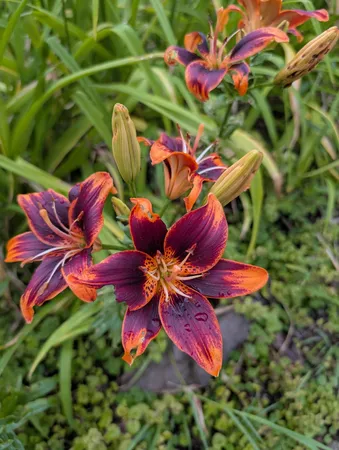 $289,900 | 2412 North Morrison Street, Appleton, WI 54911