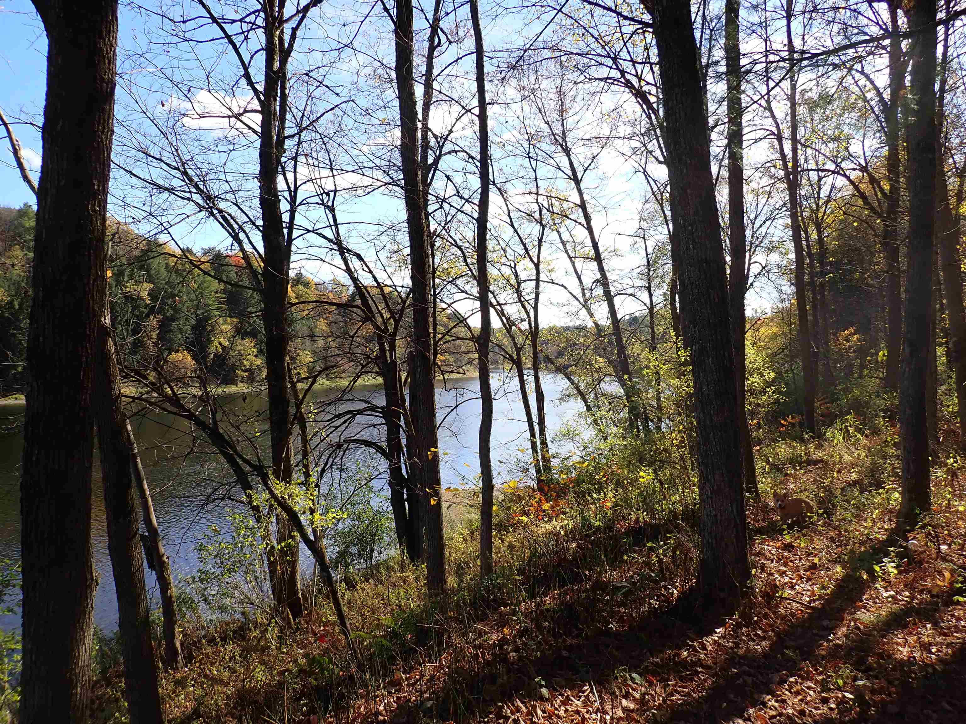 1118 Ryegate Road Ryegate, VT 05081 - Photo 35 of 41