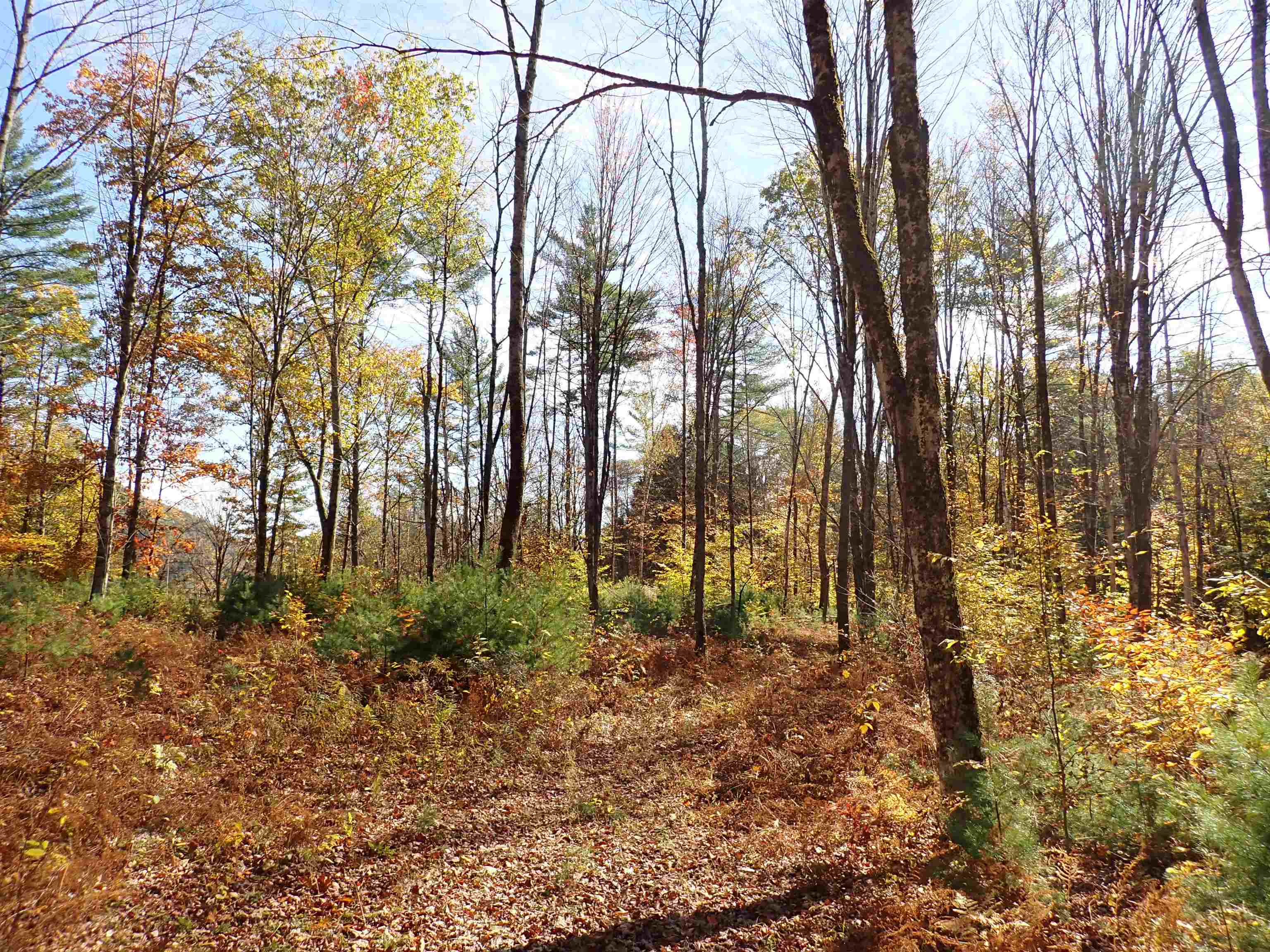 1118 Ryegate Road Ryegate, VT 05081 - Photo 40 of 41