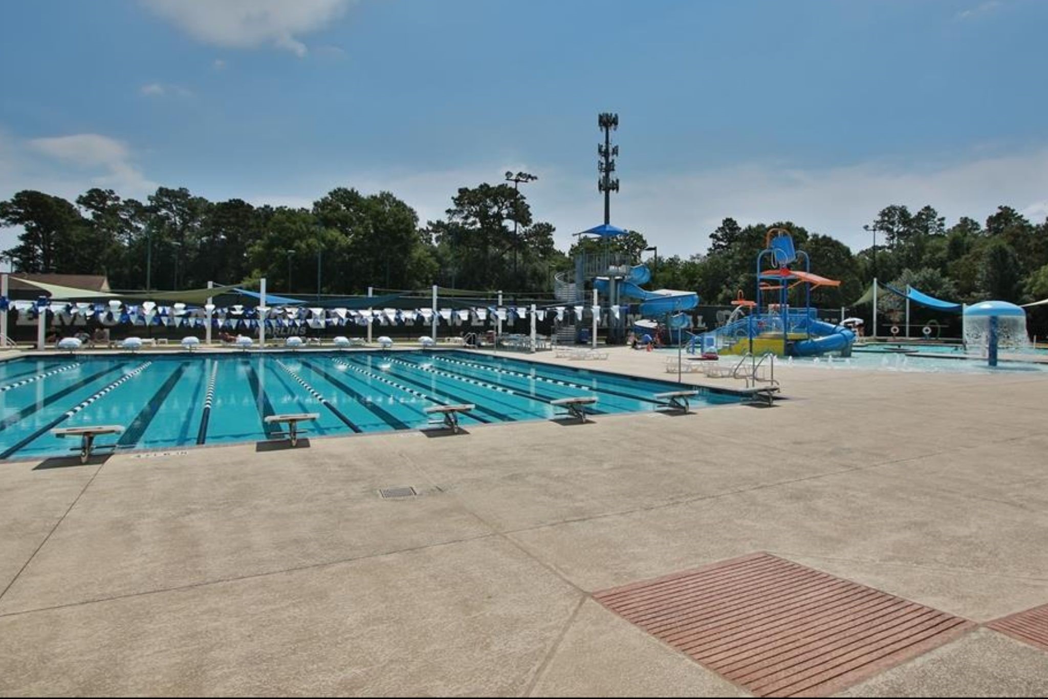 8307 Ash Valley Drive Spring, TX 77379 - Photo 43 of 48 Lap pool in addition to resort style pool