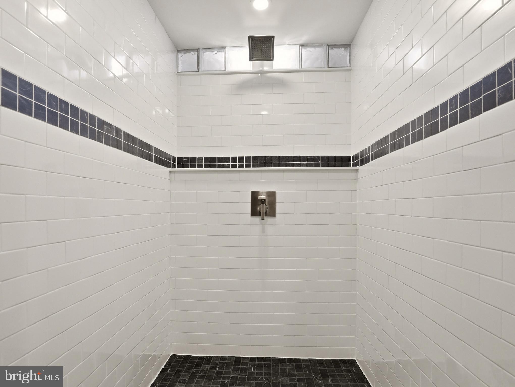 755 Grammer Road Williamsport, PA 17701 - Photo 38 of 81 Lower Level Walk-in Shower