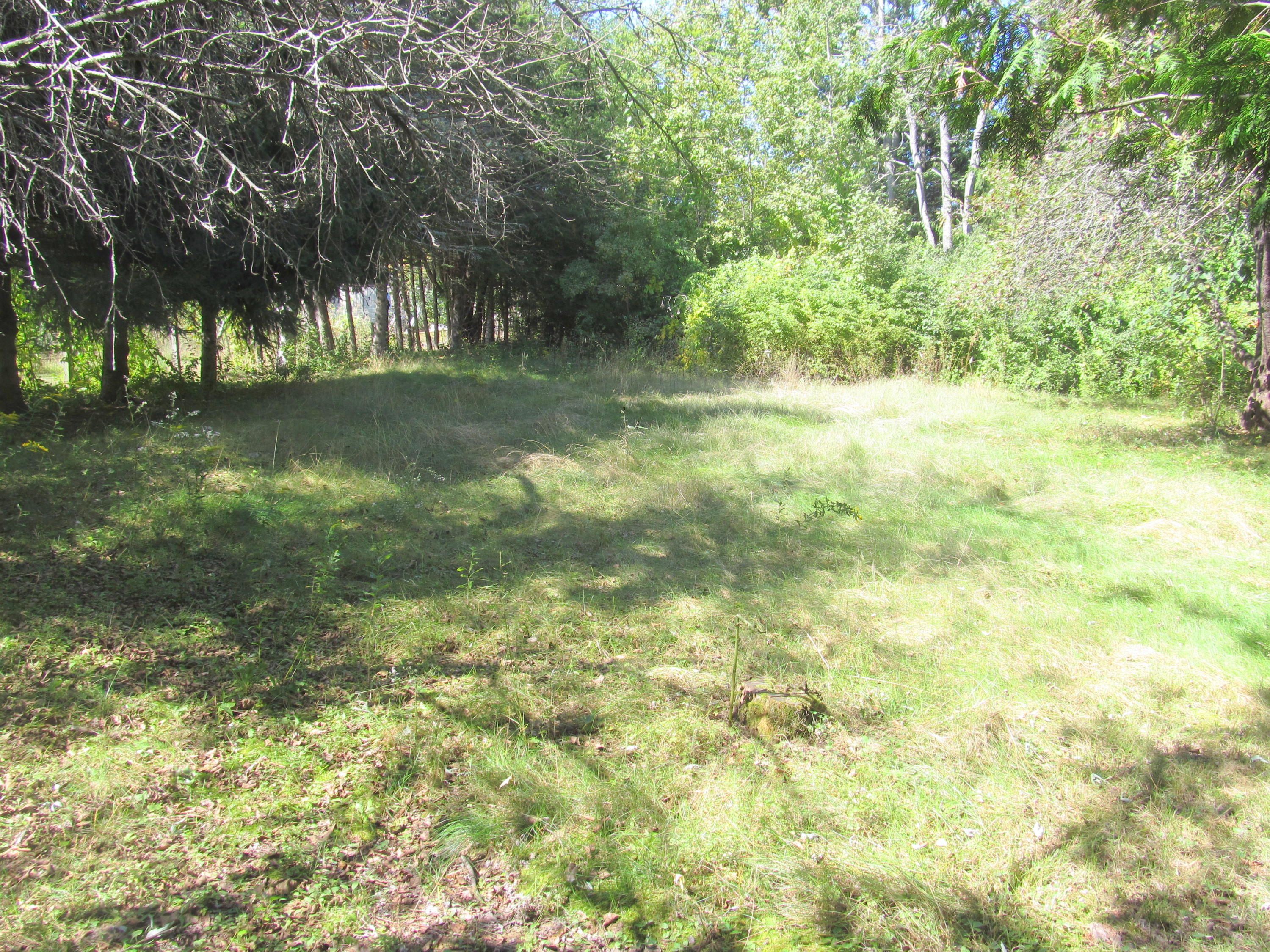 126 Church Road Brunswick, ME 04011 - Photo 3 of 10 126 CHURCH BACKYARD