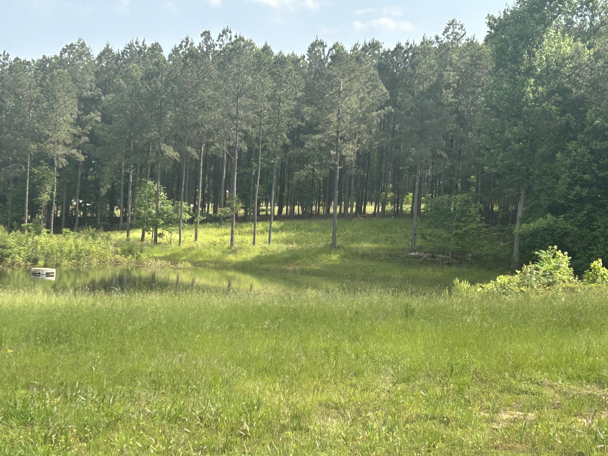 350 Crockett Loop Jasper, TN 37347 - Photo 16 of 55 a view of a lake view with a big yard