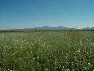 0 East Swanson Road Sonoita, AZ 85637 - Photo 1 of 1