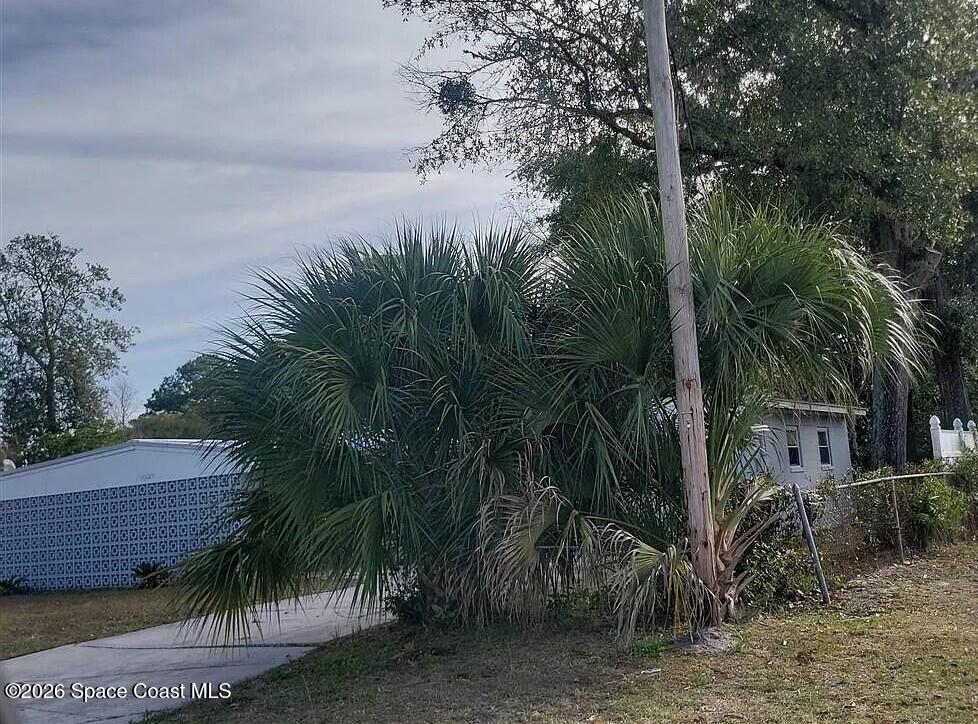 10127 Haverford Road Jacksonville, FL 32218 - Photo 3 of 6 a view of a yard with palm tree