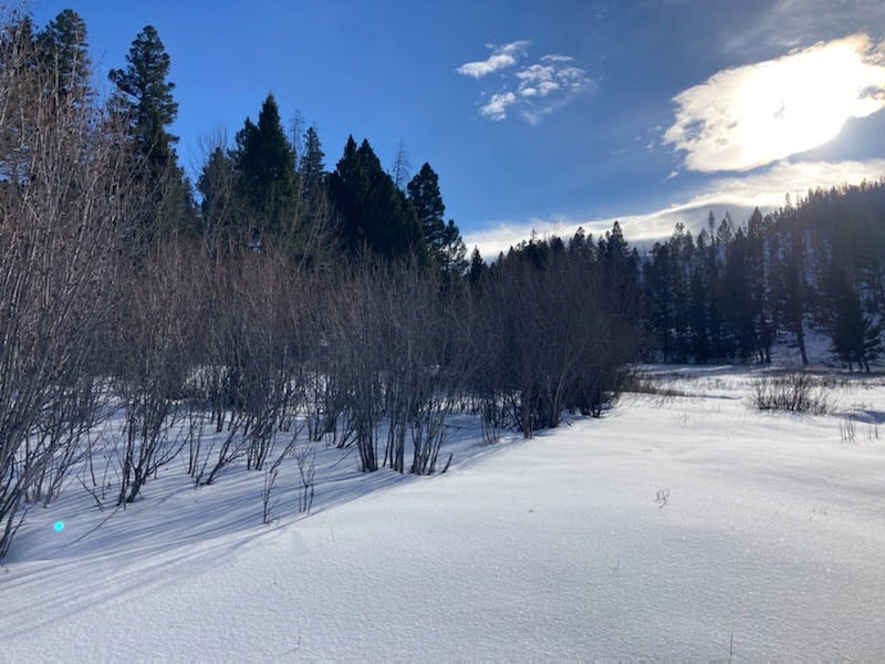 3595 Bear Gulch Road Lincoln, MT 59639 - Photo 55 of 57 Gallery Image 55