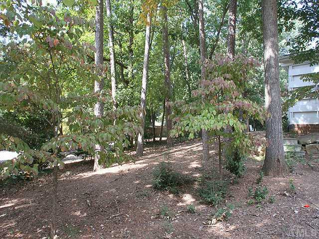 4501 Gates Street Raleigh, NC 27609 - Photo 24 of 25 Back Yard