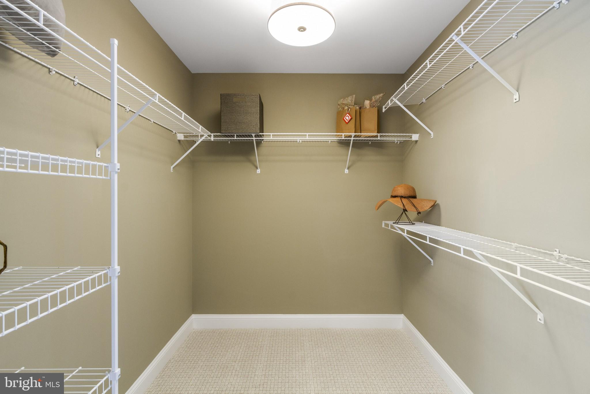 2 Jameson Way, Unit BASE Chalfont, PA 18914 - Photo 28 of 34 Primary Walk-in Closet