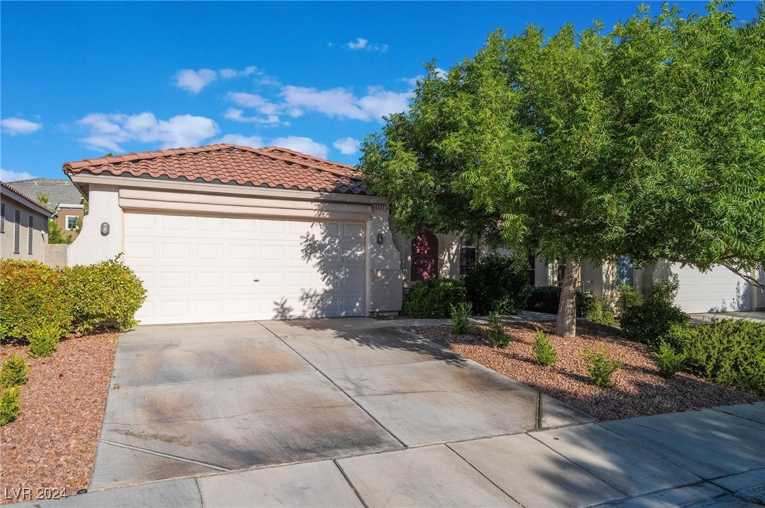 1127 Cathedral Ridge Street Henderson, NV 89052 - Photo 1 of 33