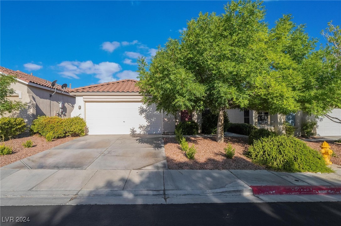 1127 Cathedral Ridge Street Henderson, NV 89052 - Photo 2 of 33