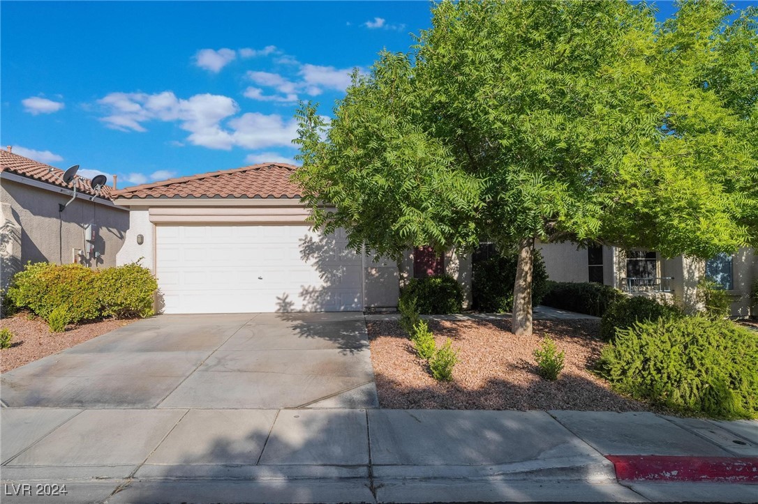 1127 Cathedral Ridge Street Henderson, NV 89052 - Photo 3 of 33