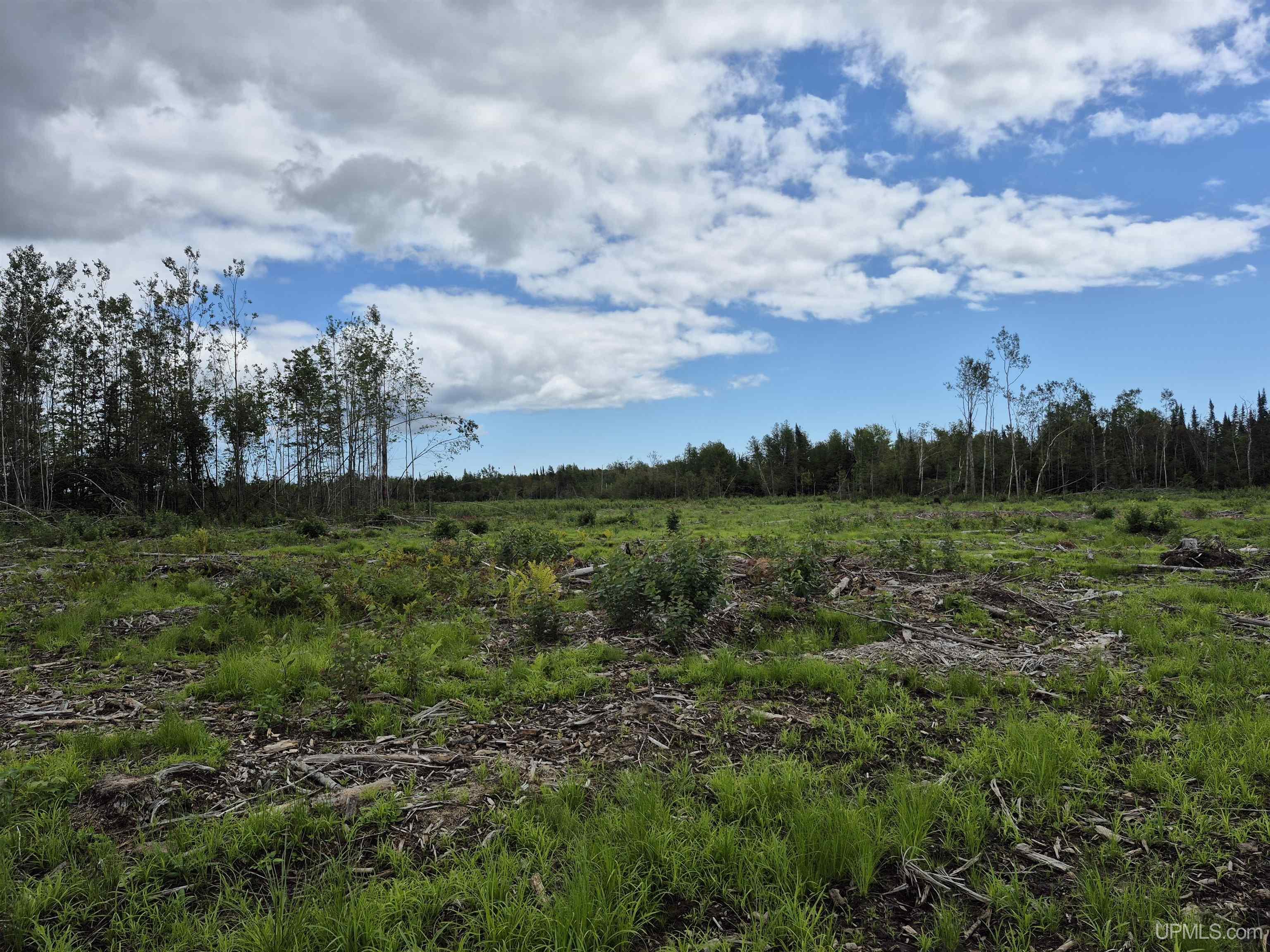 160-acres Halverson Road Gulliver, MI 49840 - Photo 8 of 35