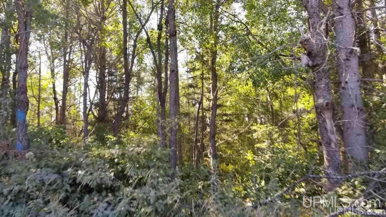 Tbd Fishing Site Road, Unit 1 Amasa, MI 49903 - Photo 18 of 19