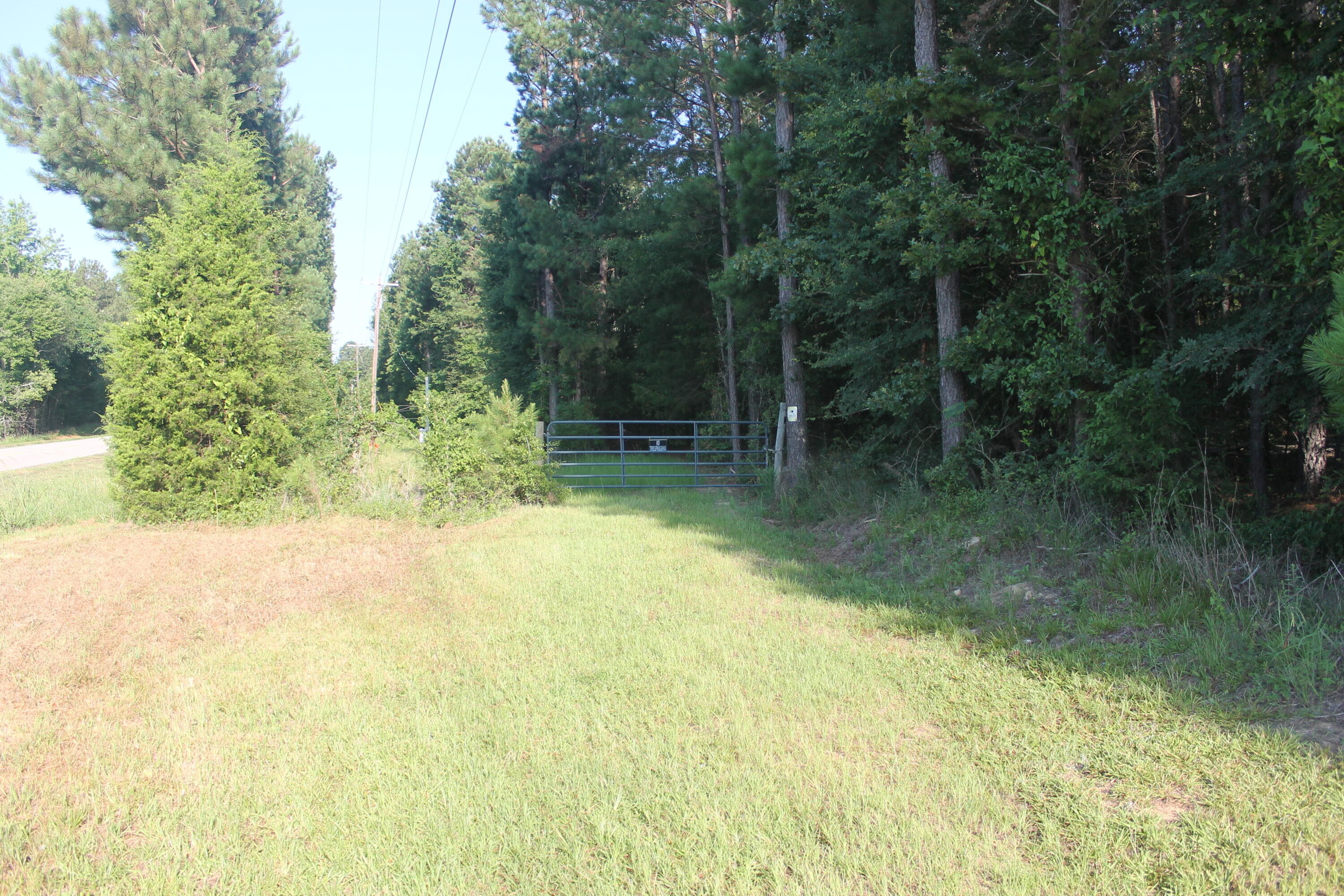 1200 B Highway McCormick, SC 29835 - Photo 5 of 11 a view of a garden with a lake