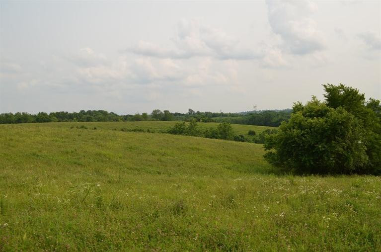 3162 Deep Creek Road Perryville, KY 40468 - Photo 13 of 21 Photo 13