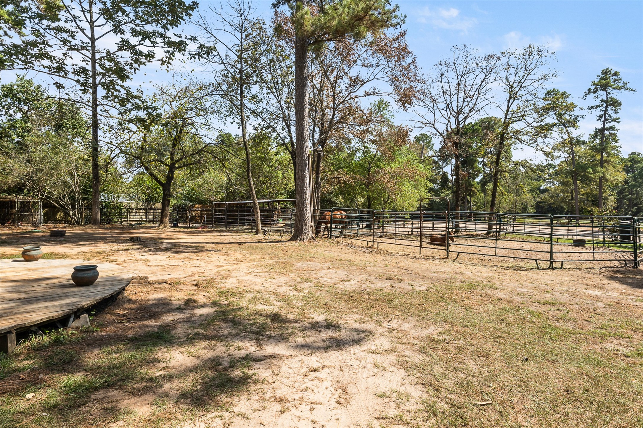 15303 Stagecoach Road Stagecoach, TX 77355 - Photo 34 of 46 Gallery Image 34