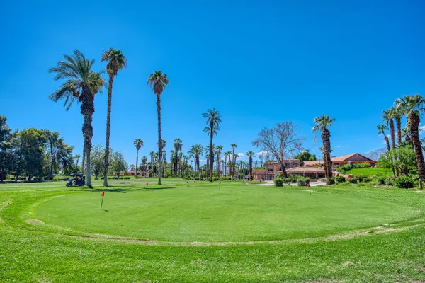 a view of a park with palm trees