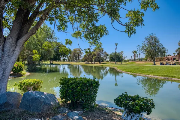a view of a lake with a yard and large trees