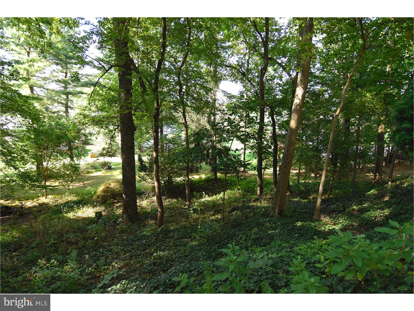 336 Faust Road Sinking Spring, PA 19608 - Photo 22 of 24
