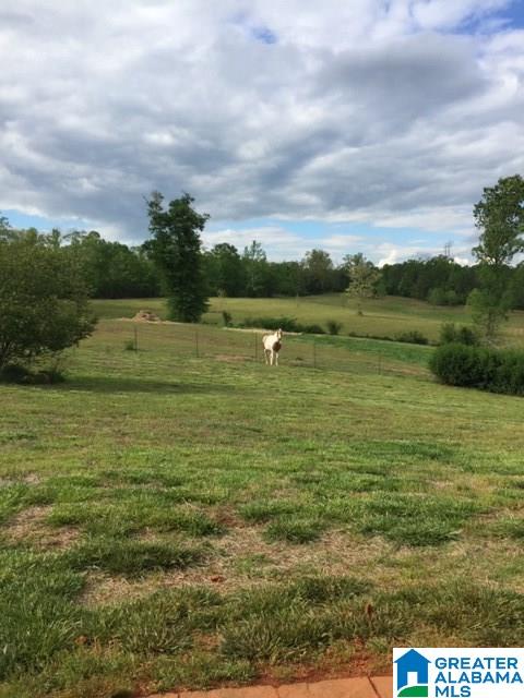 577 Wright Way Drive Wedowee, AL 36278 - Photo 37 of 39