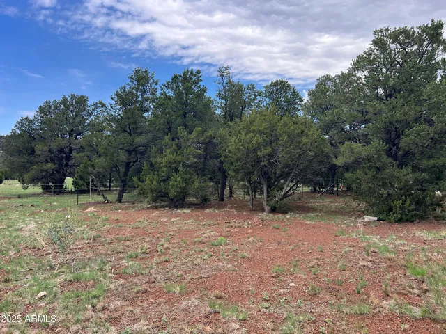 a view of outdoor space and mountain view