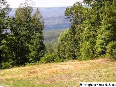 Good Hope Delta Road, Unit 25 Delta, AL 36258 - Photo 2 of 5