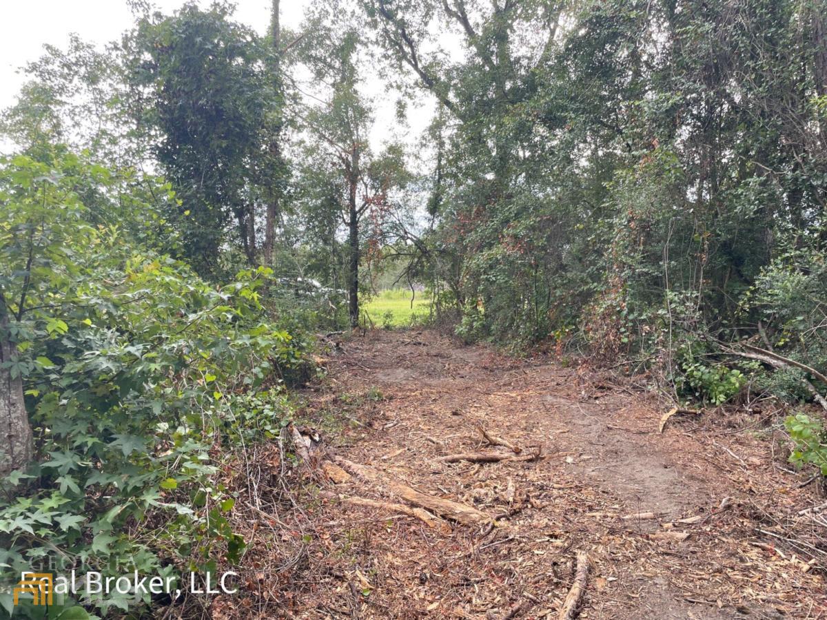 5 Lanes Bridge Road Jesup, GA 31545 - Photo 1 of 1 a view of a forest with trees in the background