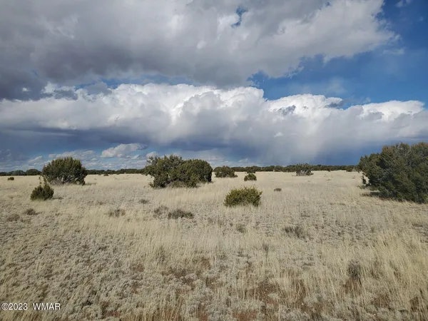 $10,800 | 5074 Concho Az 85924, Concho, AZ 85924