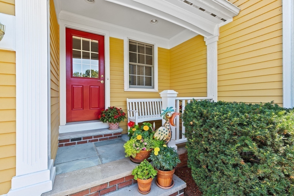 75 Thistle Road North Andover, MA 01845 - Photo 35 of 42 a potted plant sitting in front of a house