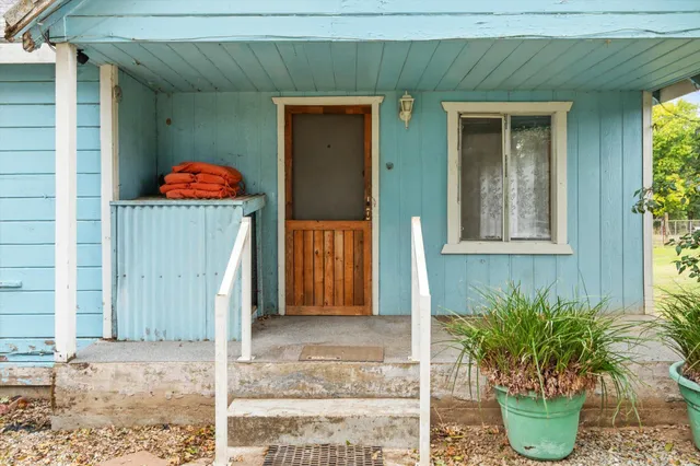 a potted plant in front of a house