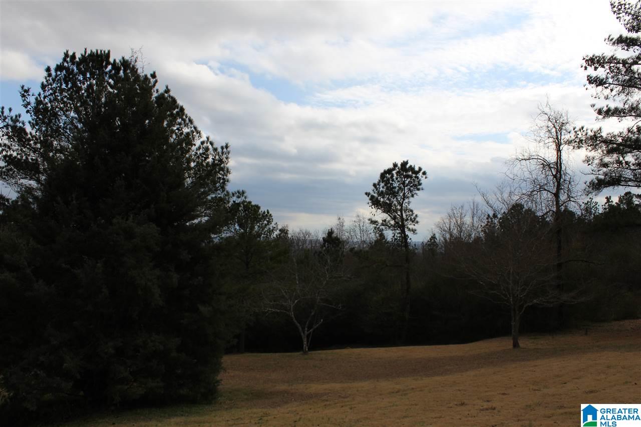 4801 South Shades Crest Road Helena, AL 35080 - Photo 31 of 31