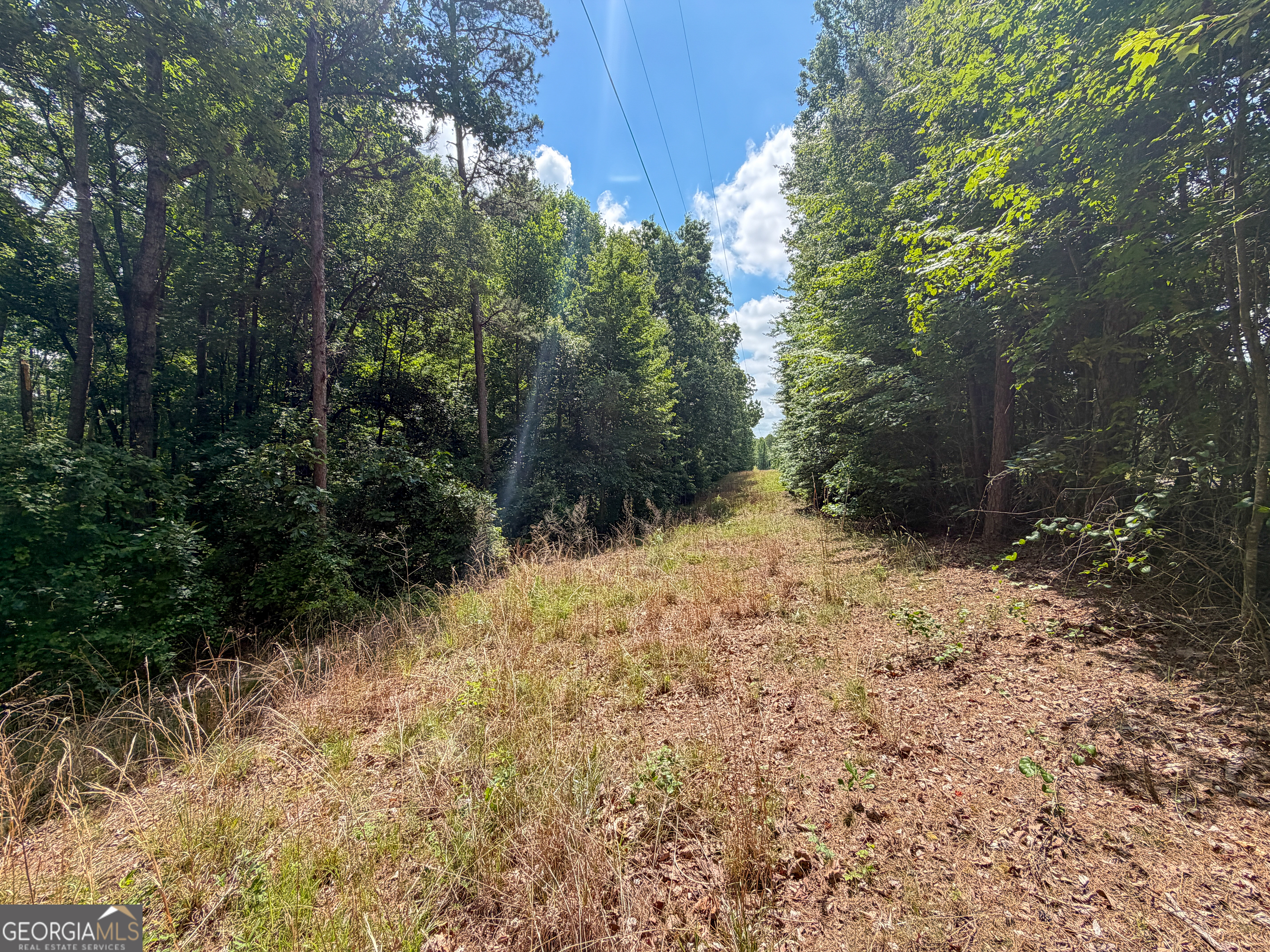 5 Christmas Tree Road Homer, GA 30547 - Photo 11 of 21