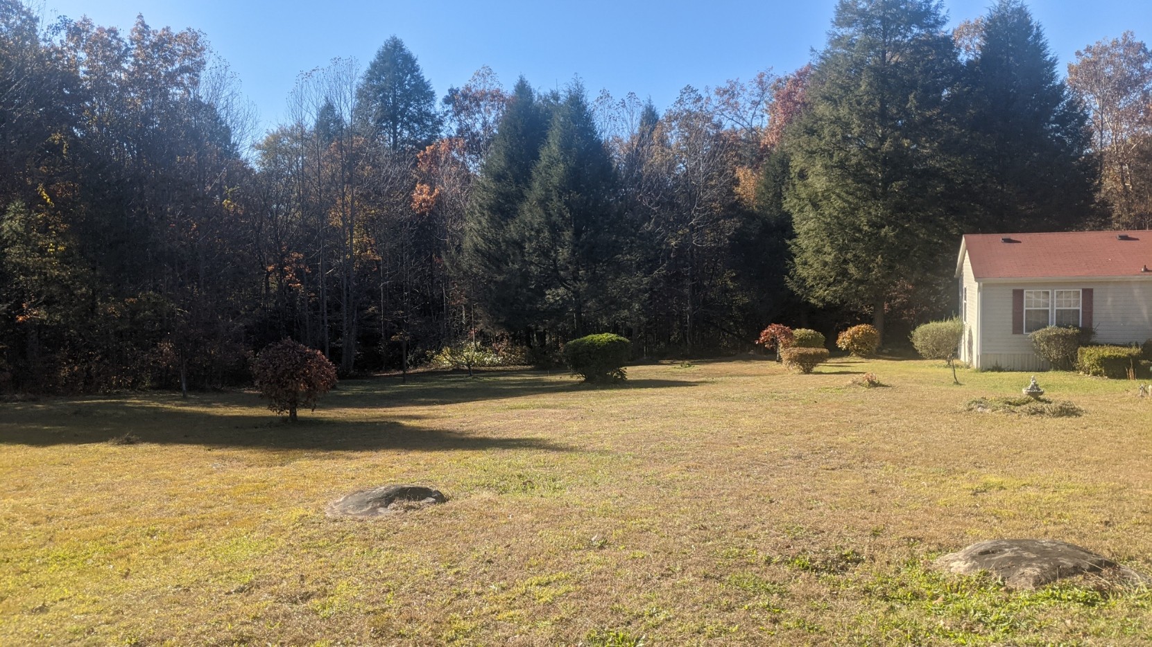 599 Little Fiery Road Sequatchie, TN 37374 - Photo 3 of 34 a view of a yard with trees
