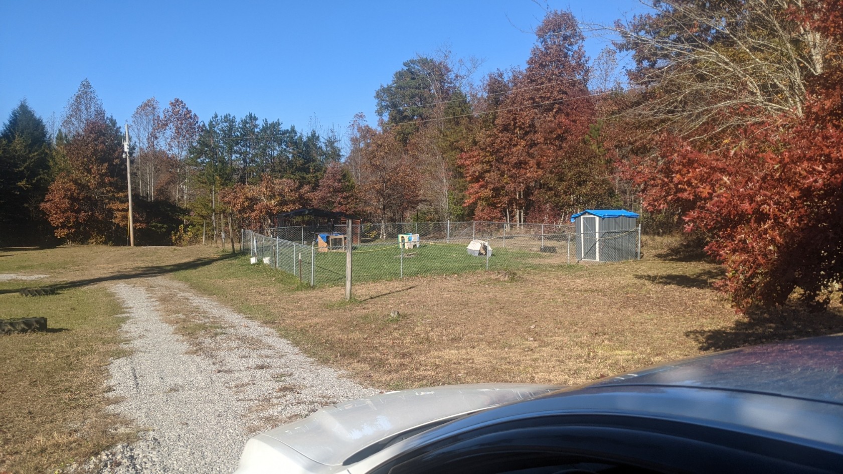 599 Little Fiery Road Sequatchie, TN 37374 - Photo 4 of 34 a backyard of a house with lots of green space