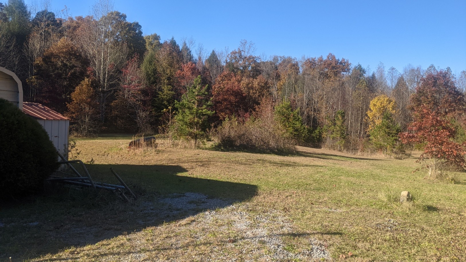599 Little Fiery Road Sequatchie, TN 37374 - Photo 31 of 34 a view of yard with trees in the background