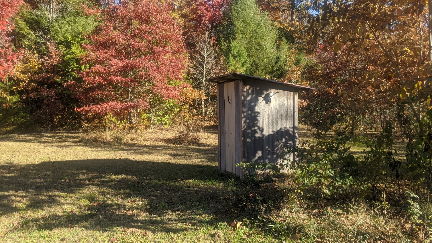 599 Little Fiery Road Sequatchie, TN 37374 - Photo 33 of 34 a view of a pathway of a building with large trees