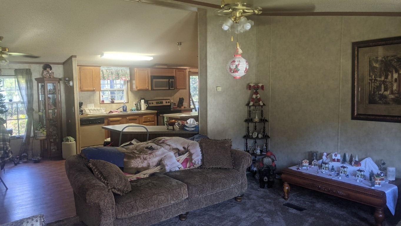 599 Little Fiery Road Sequatchie, TN 37374 - Photo 5 of 34 a living room with furniture and a chandelier