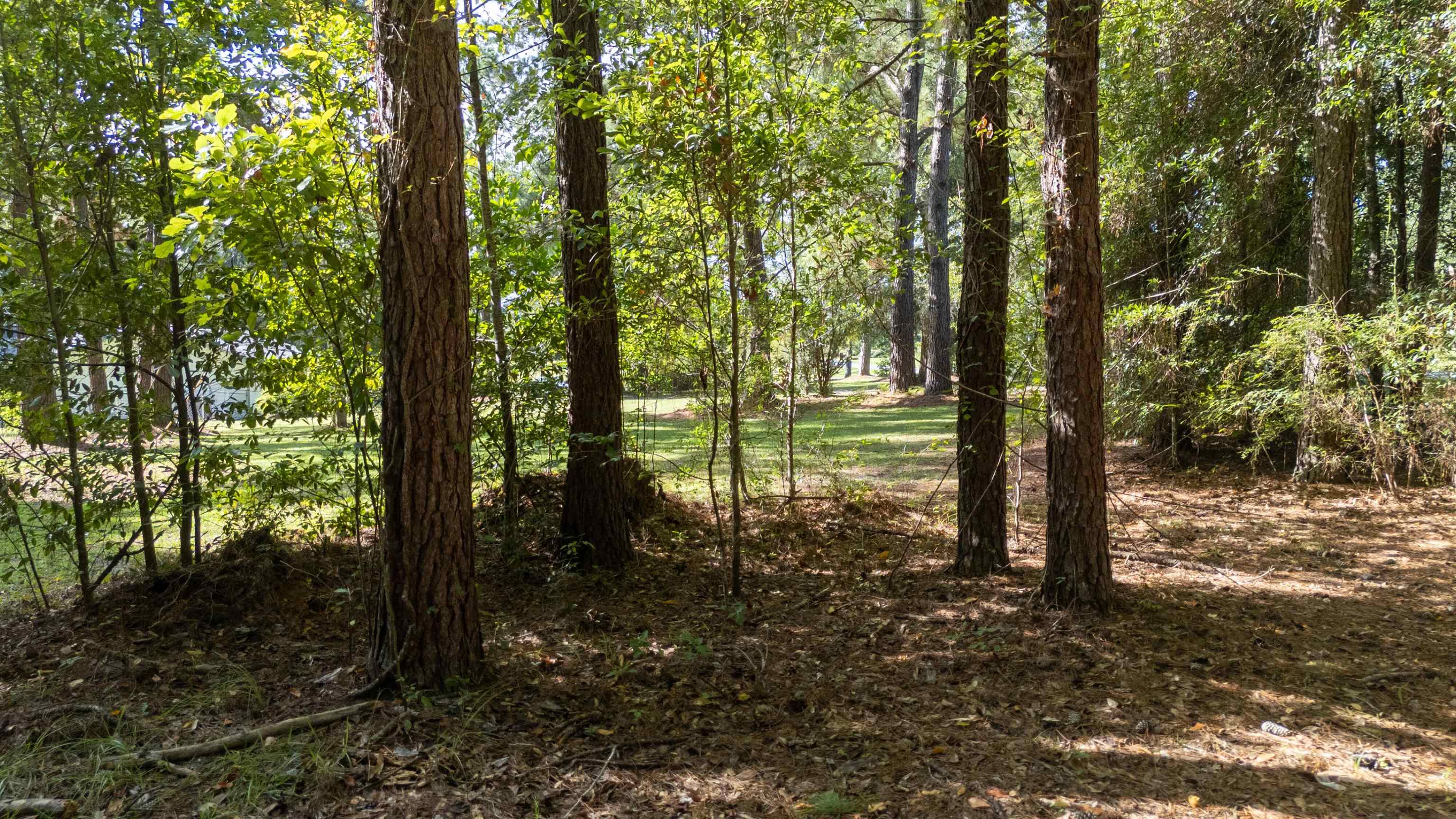 5076 Valley Farm Road Tallahassee, FL 32303 - Photo 55 of 58 Gallery Image 55