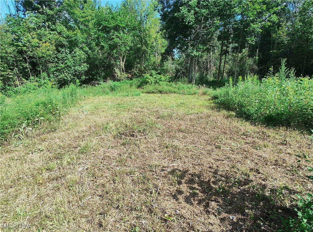 Vl New London Road Geneva, OH 44041 - Photo 10 of 10 View of nature