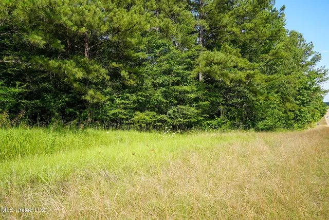 $18,900 | 0 Highway 27, Utica, MS 39175