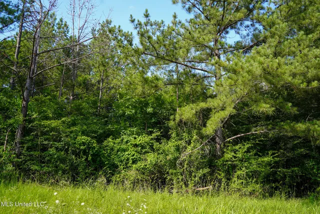 $18,900 | 0 Highway 27, Utica, MS 39175