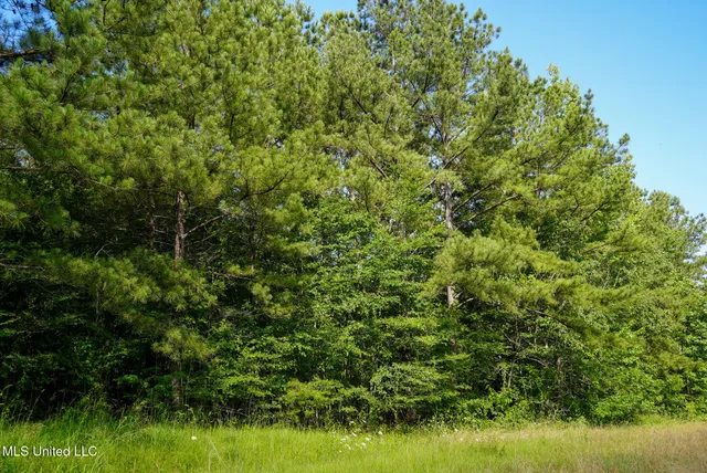 $18,900 | 0 Highway 27, Utica, MS 39175