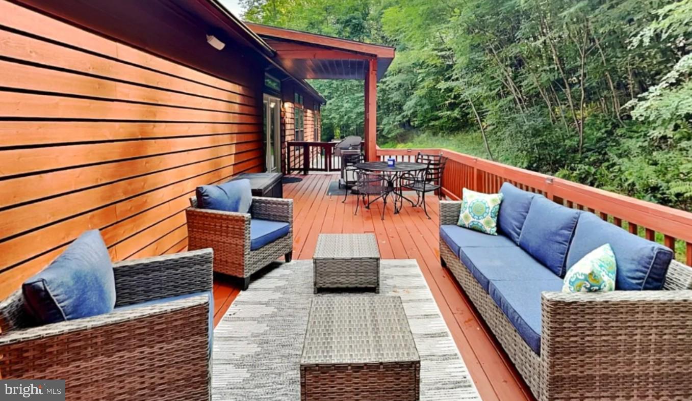 2228 Hoyes Run Road McHenry, MD 21541 - Photo 26 of 51