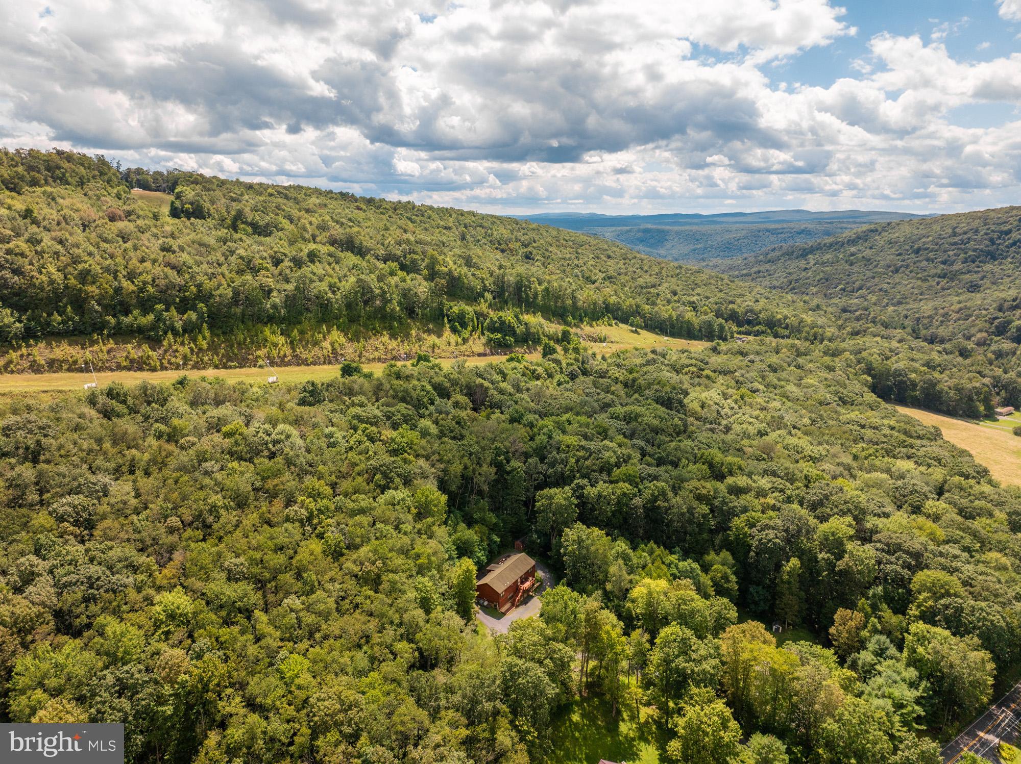 2228 Hoyes Run Road McHenry, MD 21541 - Photo 27 of 51