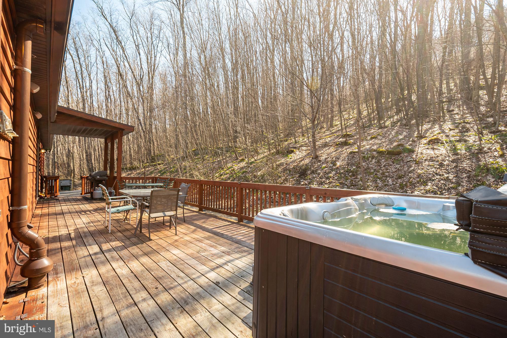 2228 Hoyes Run Road McHenry, MD 21541 - Photo 29 of 51