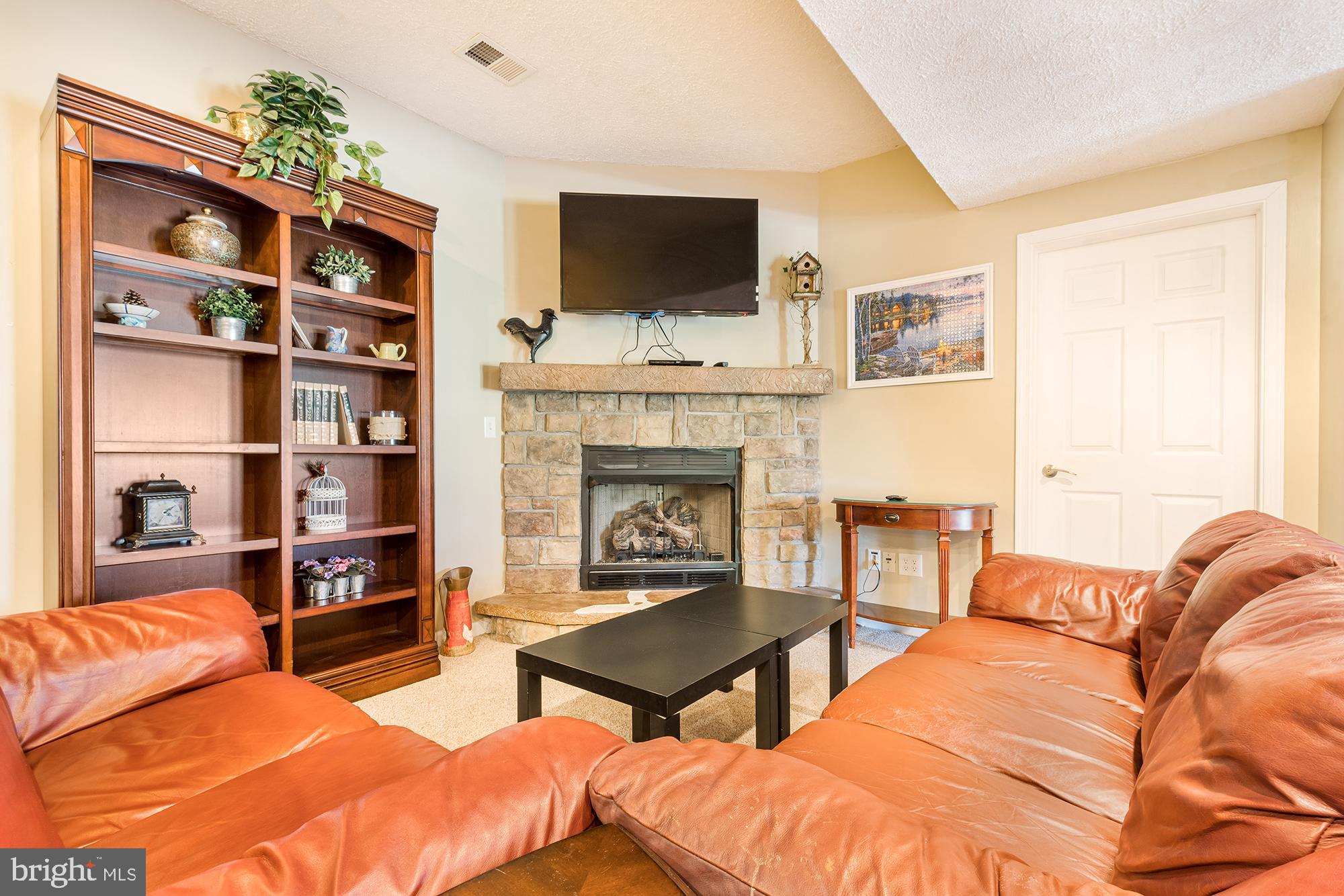 2228 Hoyes Run Road McHenry, MD 21541 - Photo 8 of 52