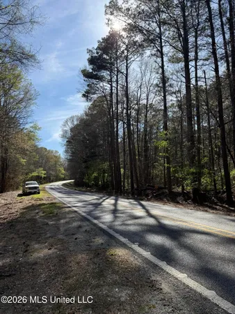 $196,000 | 0 Ms-13, Lena, MS 39094