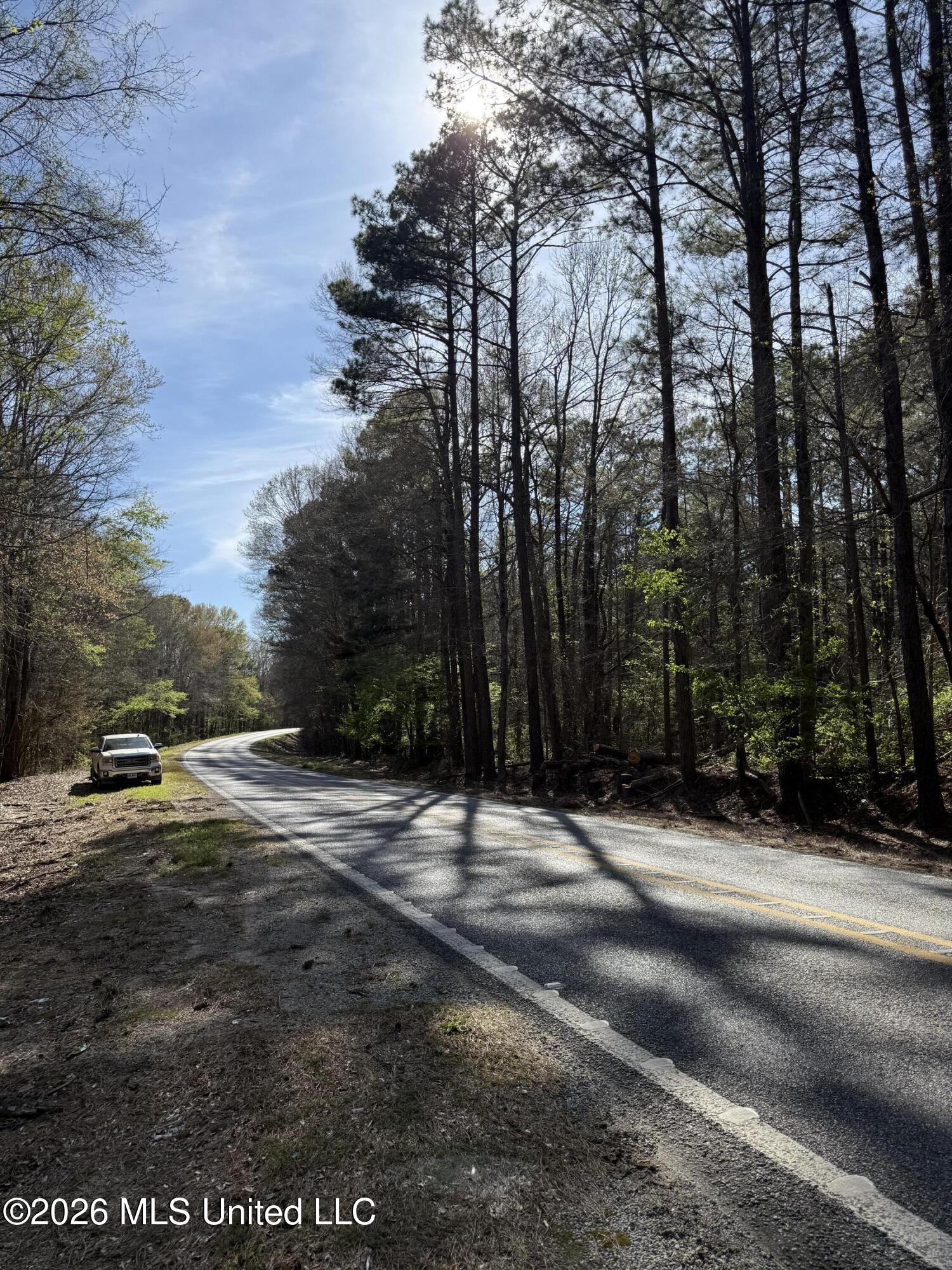 0 Ms-13 Lena, MS 39094 - Photo 1 of 10 IMG_3061