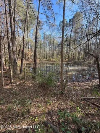 $179,200 | 0 Ms-13, Lena, MS 39094