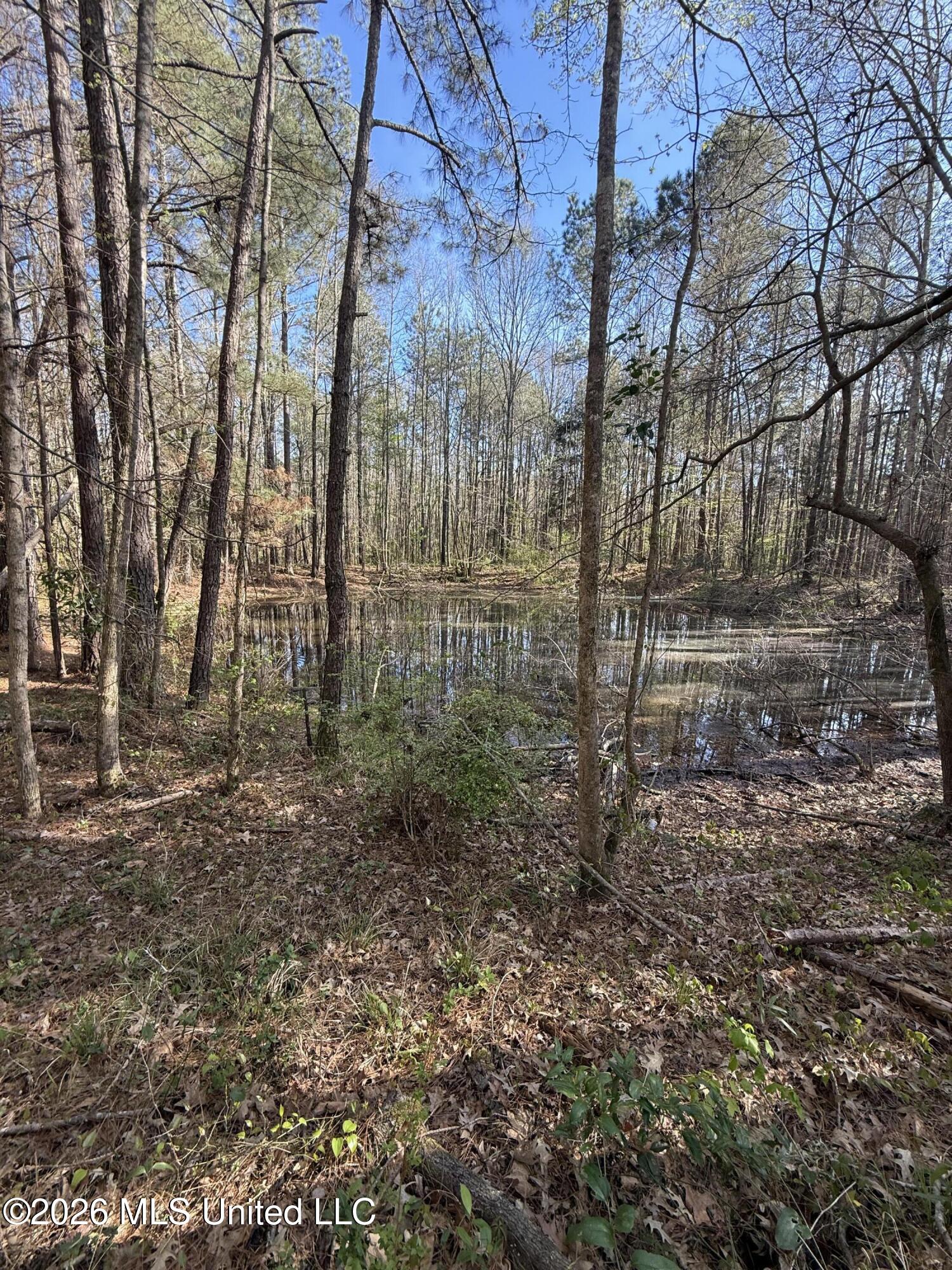 0 Ms-13 Lena, MS 39094 - Photo 2 of 10 IMG_3062